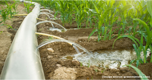 Steps for successful irrigation – ProAgri Media