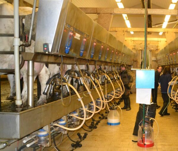 Create the perfect environment for your dairy cattle: Part 10 – Rapid ...